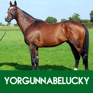 YORGUNNABELUCKY