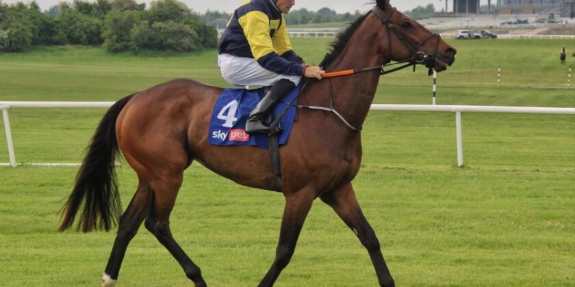 Multiplex Winner at The Curragh