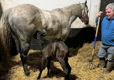 First Foal of 2022
