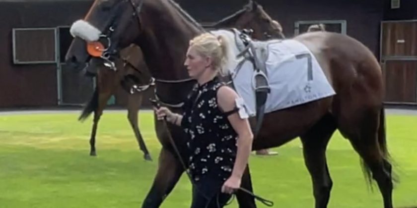 Second Juvenile Winner for Massaat