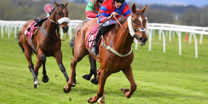 Yorgunnabelucky Winner at Bangor