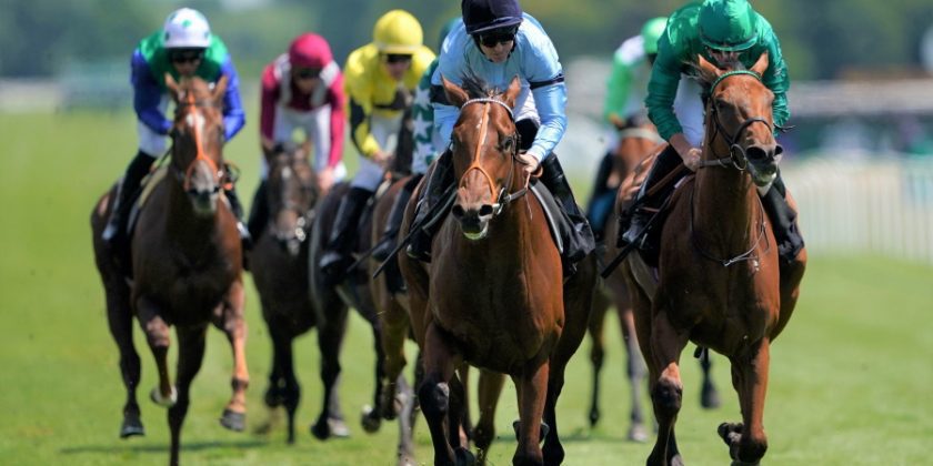 Massaat Winner on Debut at Newbury