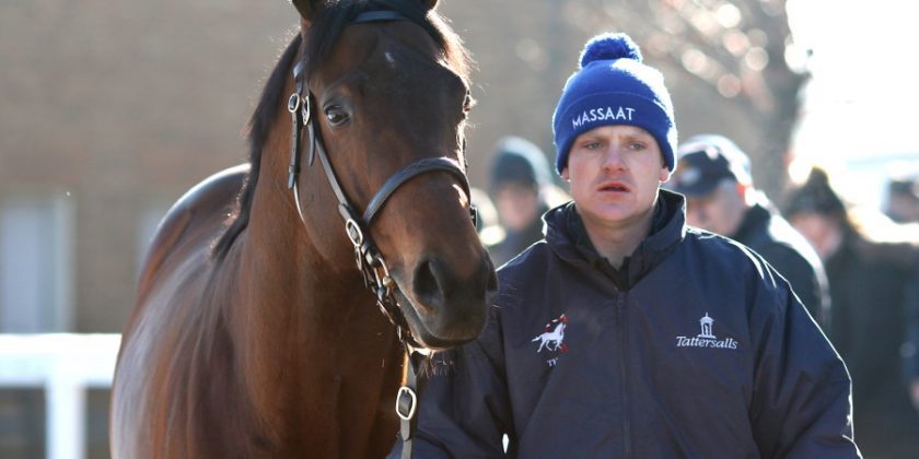 Another Fine Winner for Massaat