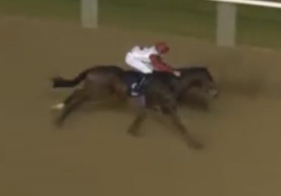 LEXINGTON HERO Wins at Wolves