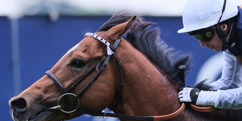 DOCKLANDS, Son of MASSAAT, wins at KEMPTON