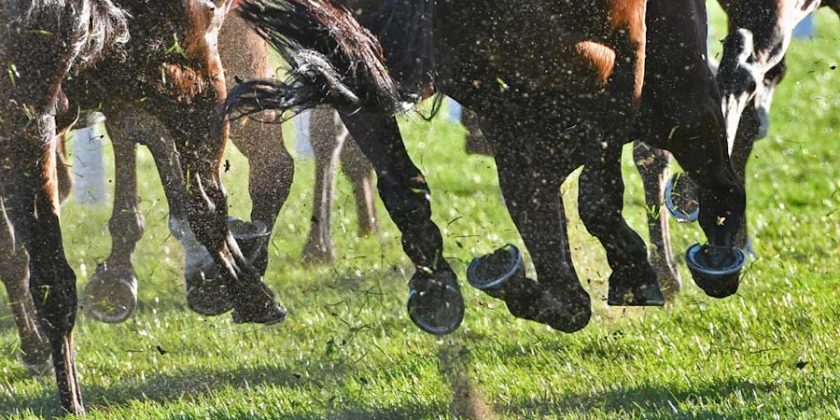 Haydock Winner for Massaat Filly