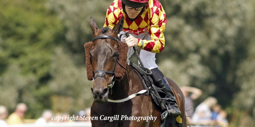 Massaat Winner at Nottingham