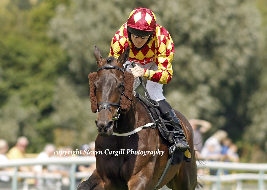 Massaat Winner at Nottingham