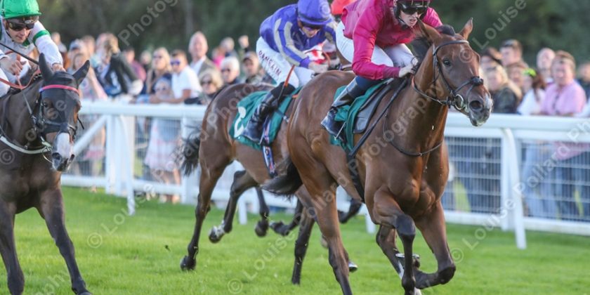 Two Year Old Winner for MASSAAT