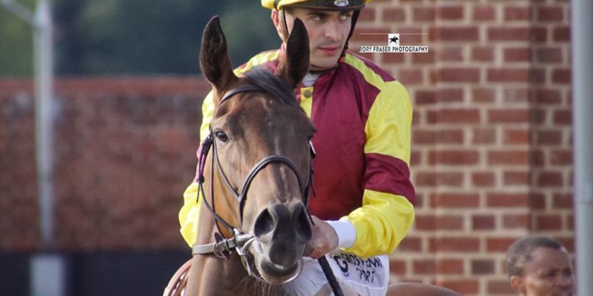 COCO JAMBOO Back In The Winners Enclosure