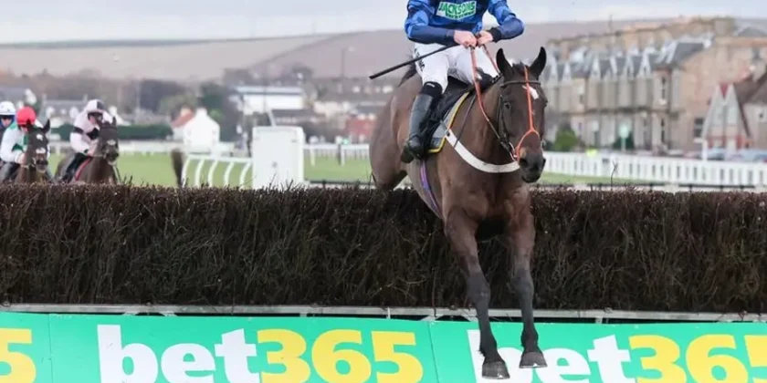 Multiplex Still Having Winners!!