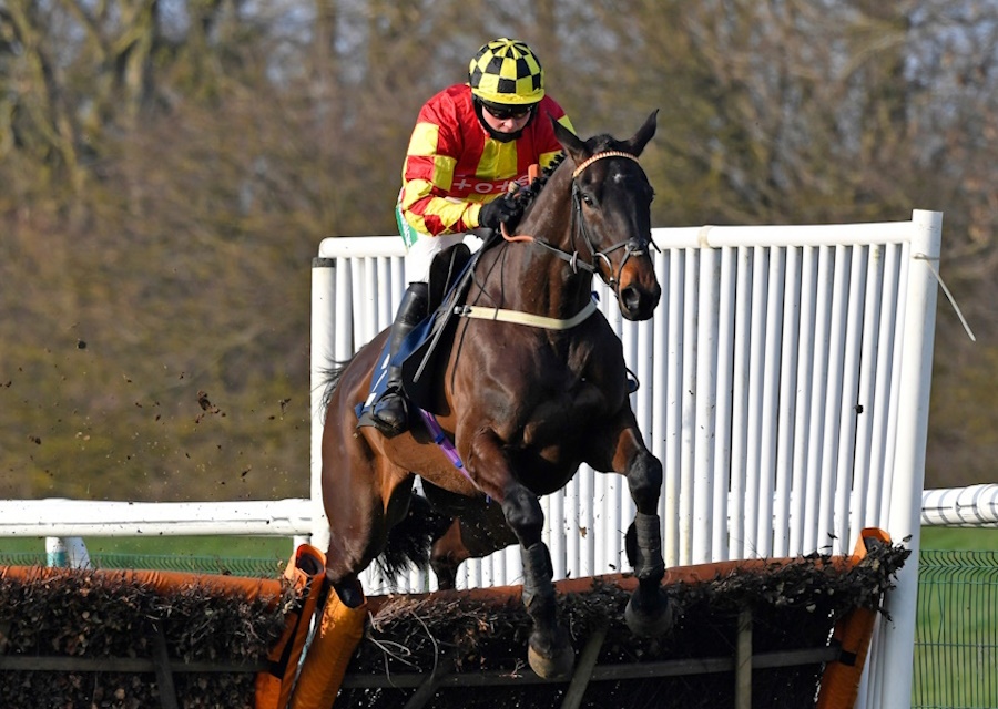 Yorgunnabelucky has Chase Winner at Donny!