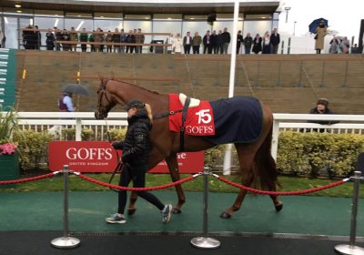 Grandads Cottage Wins the Feature at Leicester