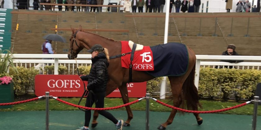 Grandads Cottage Wins the Feature at Leicester