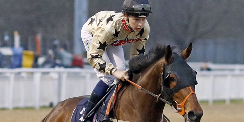 QUEUES LIKELY Wins Again for Massaat!