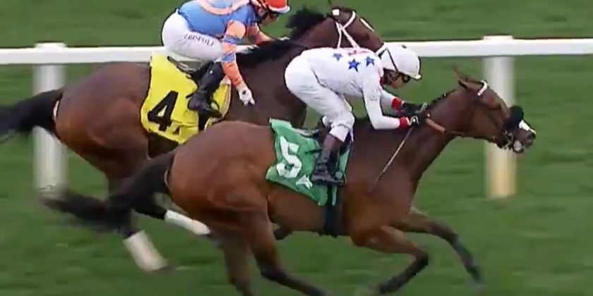 Stateside Winner for MASSAAT!