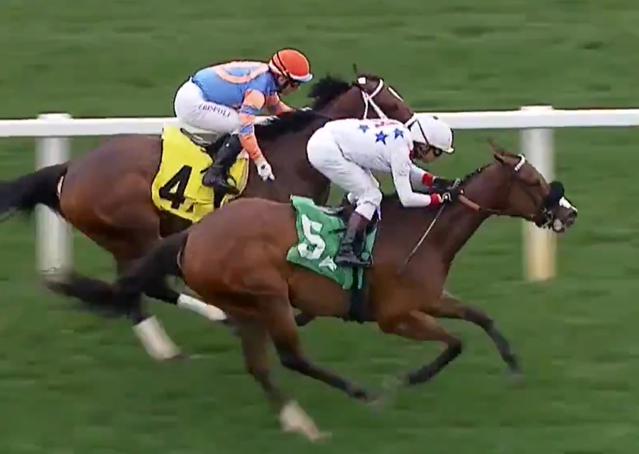 Stateside Winner for MASSAAT!