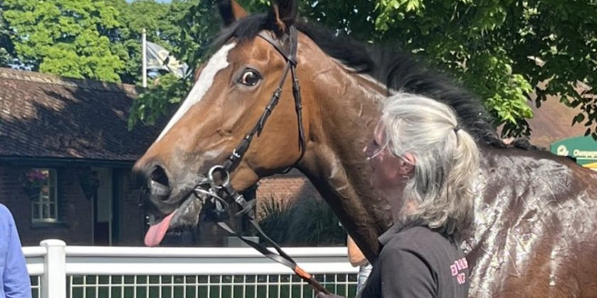 Success for RADIO GOO GOO!