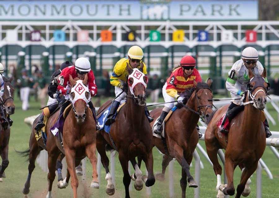 Mickley Bred GROUP 3 Win in USA