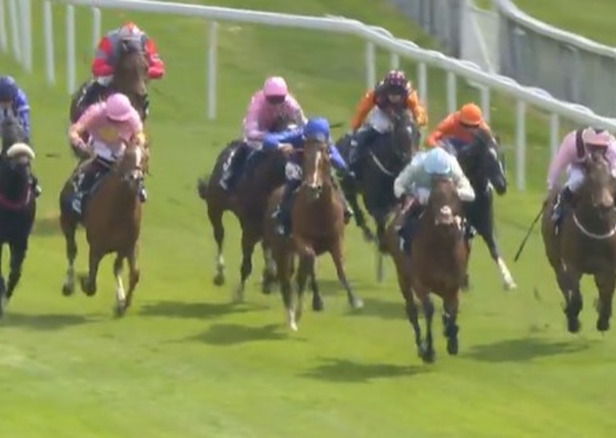 TRICKY TEL Impressive on debut!