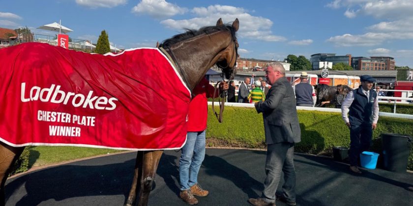 Treble for Mickley Stud Bred Horses