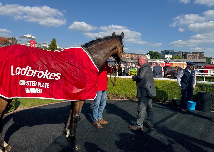 Treble for Mickley Stud Bred Horses