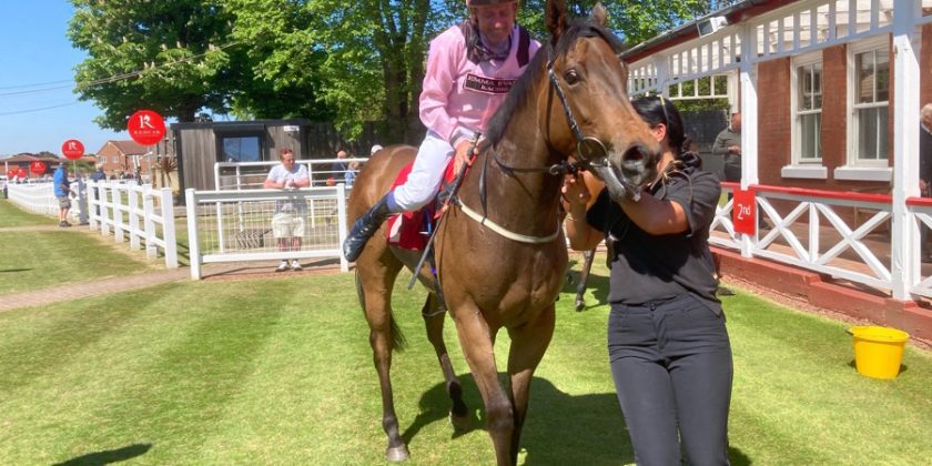 Two year old winner by MASSAAT at Redcar!