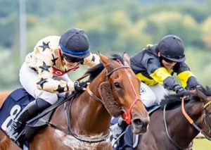  Massaat 2yo Winner! 