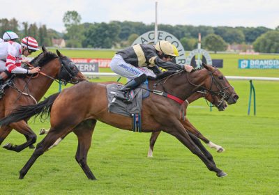 Alfa Kellenic 6-Timer!