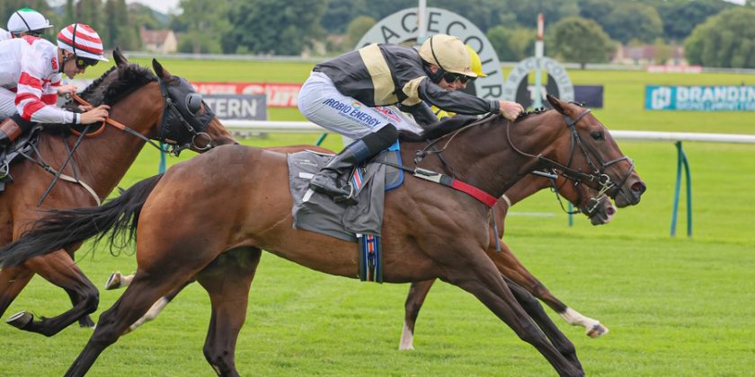 Alfa Kellenic 6-Timer!