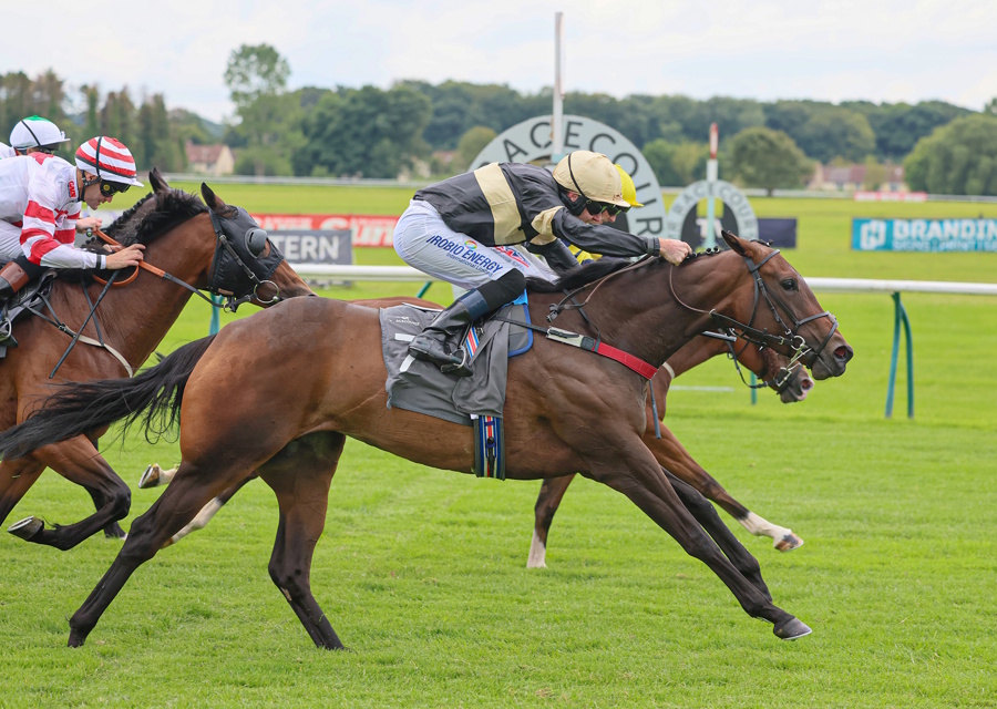 Alfa Kellenic 6-Timer!