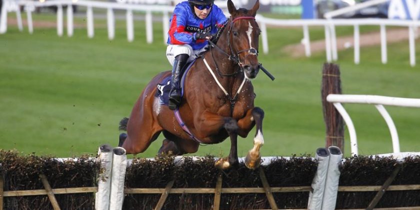 YORGUNNABELUCKY Gelding Wins Silver Trophy