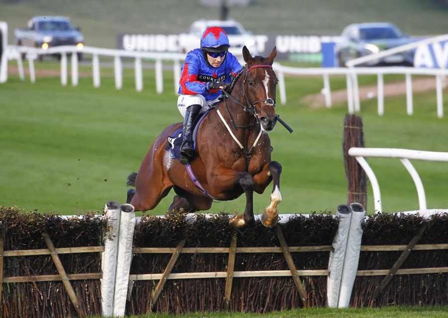 YORGUNNABELUCKY Gelding Wins Silver Trophy