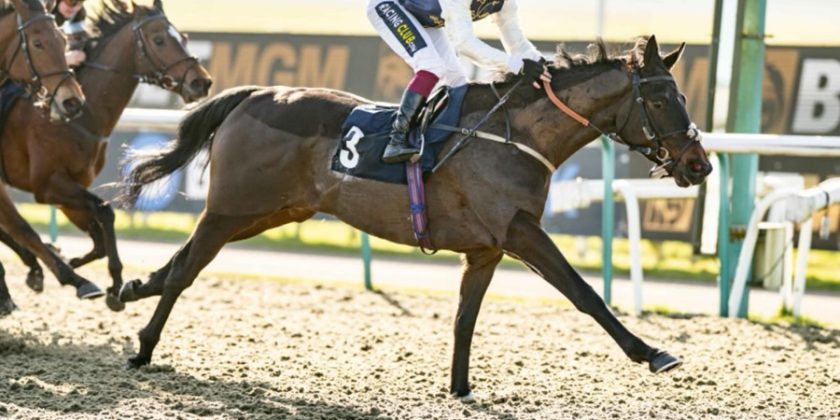 Mickley Graduate Wins at Lingfield