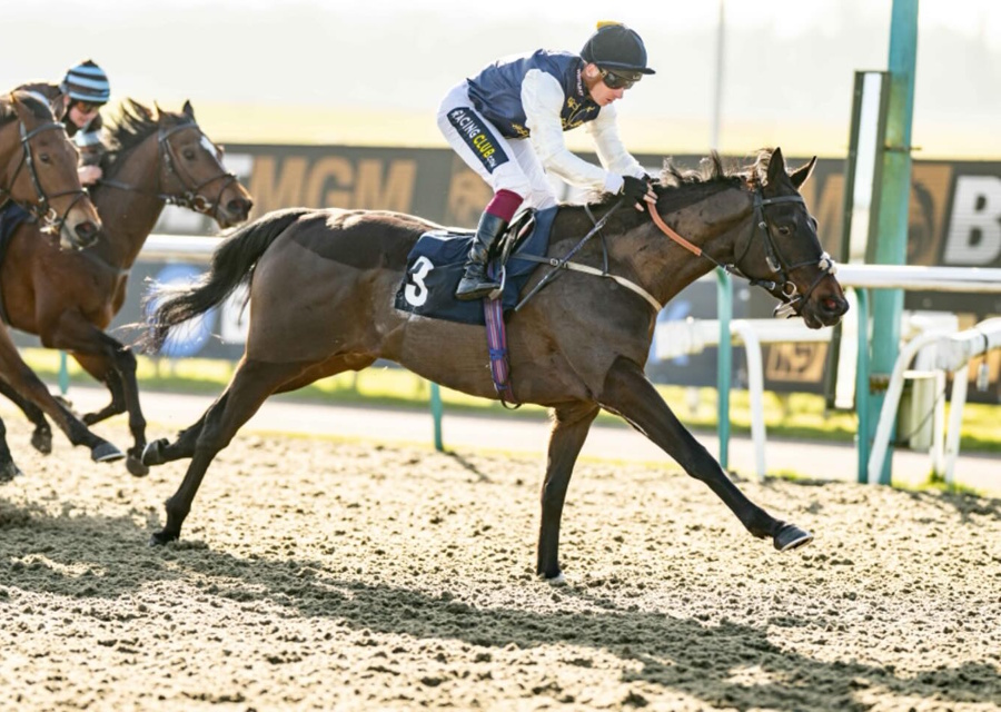 Mickley Graduate Wins at Lingfield