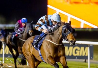 Double Up For Massaat Filly