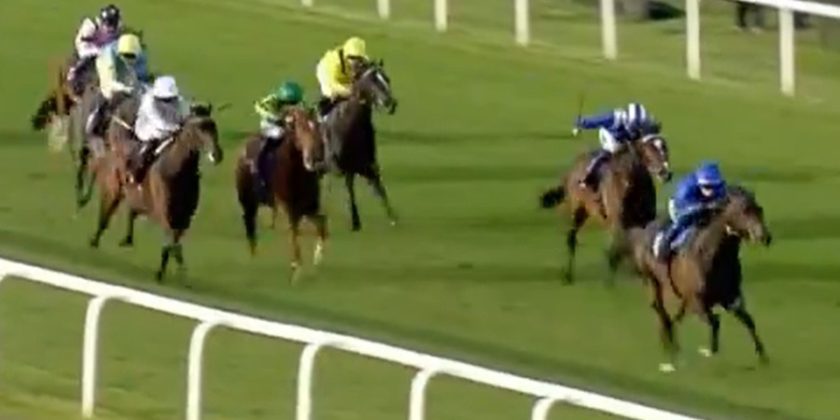 Stable Switch Works Wonders!