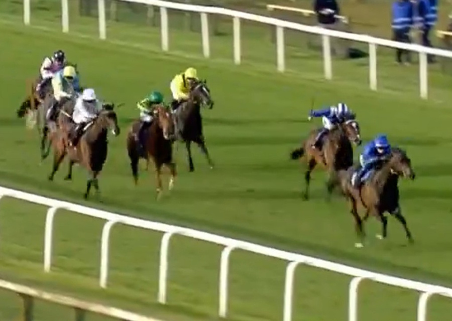 Stable Switch Works Wonders!