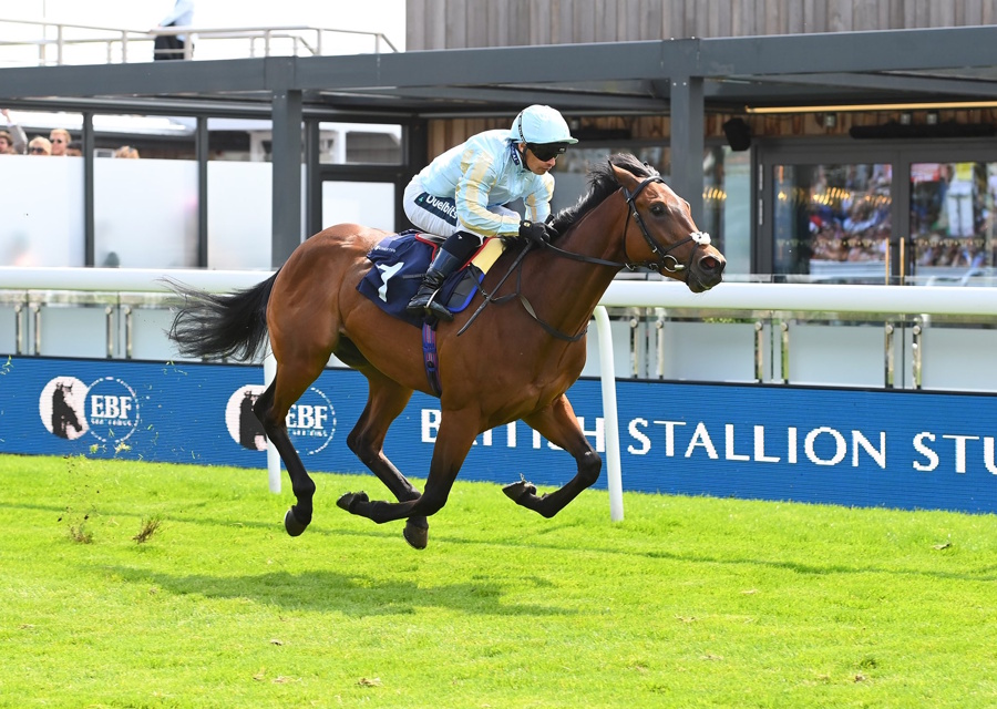 TRICKY TEL Wins Again!