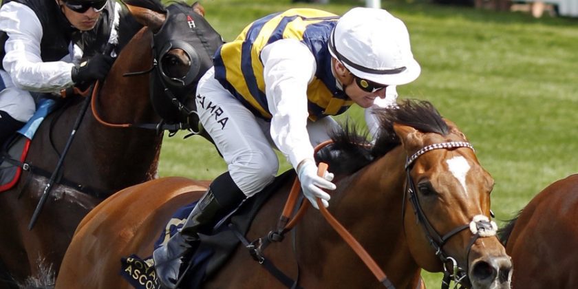 Group 1 Winner for Massaat!