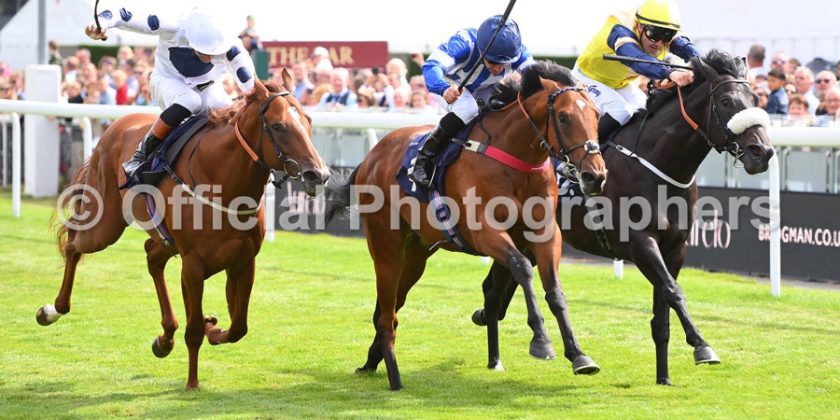 Another impressive winner for first-crop sire UBETTABELIEVEIT