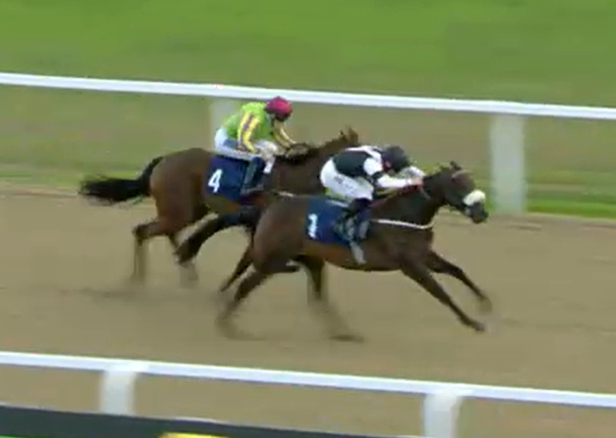 Another nice winner for UBETTABELIEVEIT