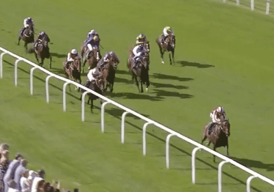 HILITANY Looks a Real Talent