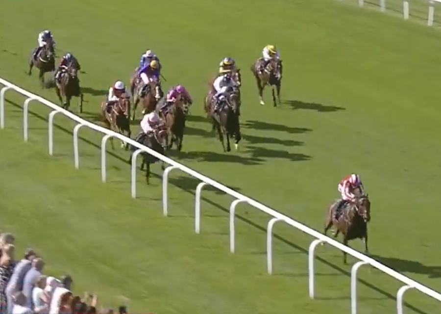 HILITANY Looks a Real Talent