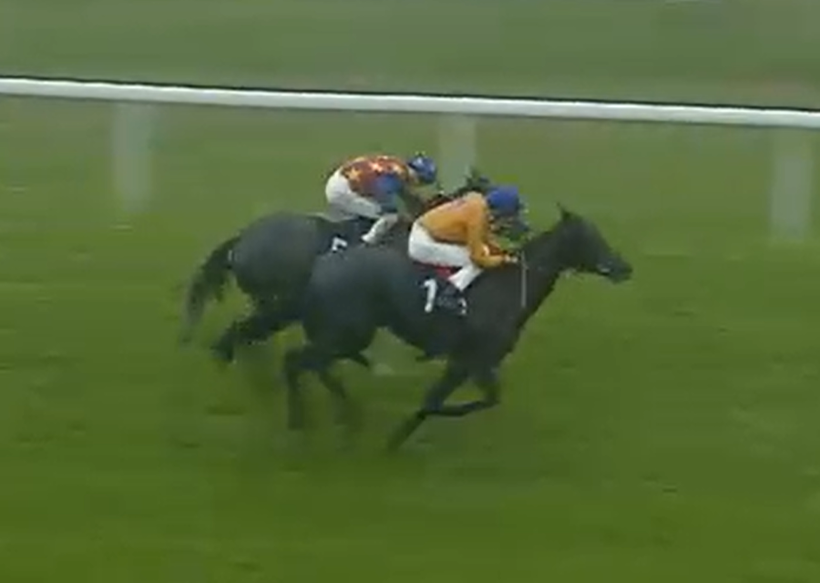 TAKEITORLEAVEIT Battles Well