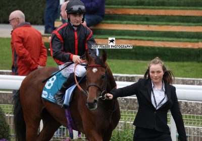 Tattersalls Book 2 Winner