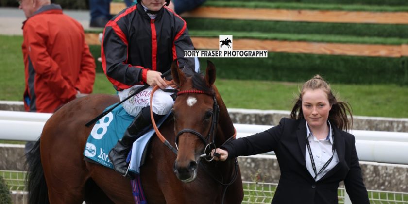 Tattersalls Book 2 Winner