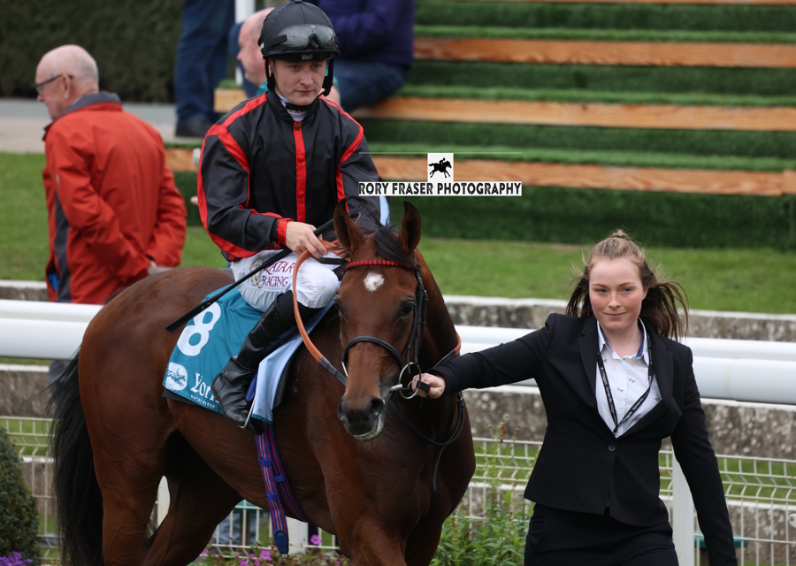 Tattersalls Book 2 Winner