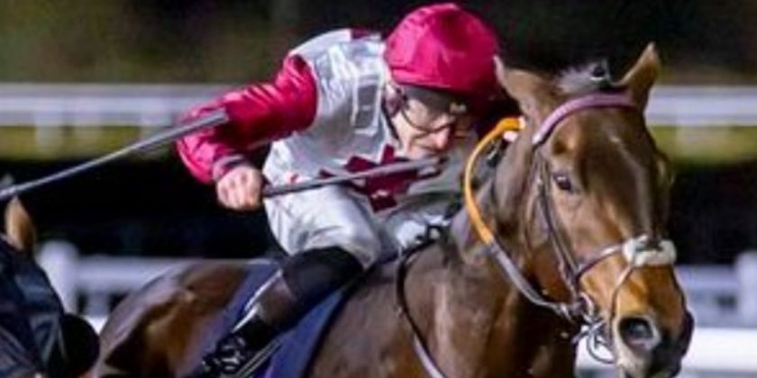 Another Massaat 2yo Winner!