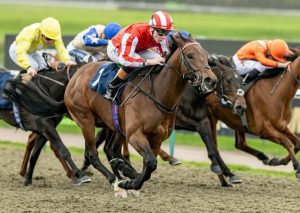 Stakes winner for UBETTABELIEVEIT